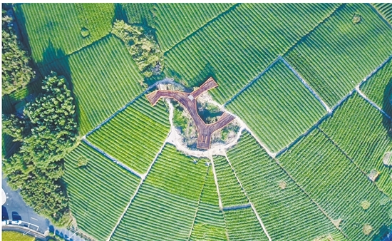 新开热血江湖网站